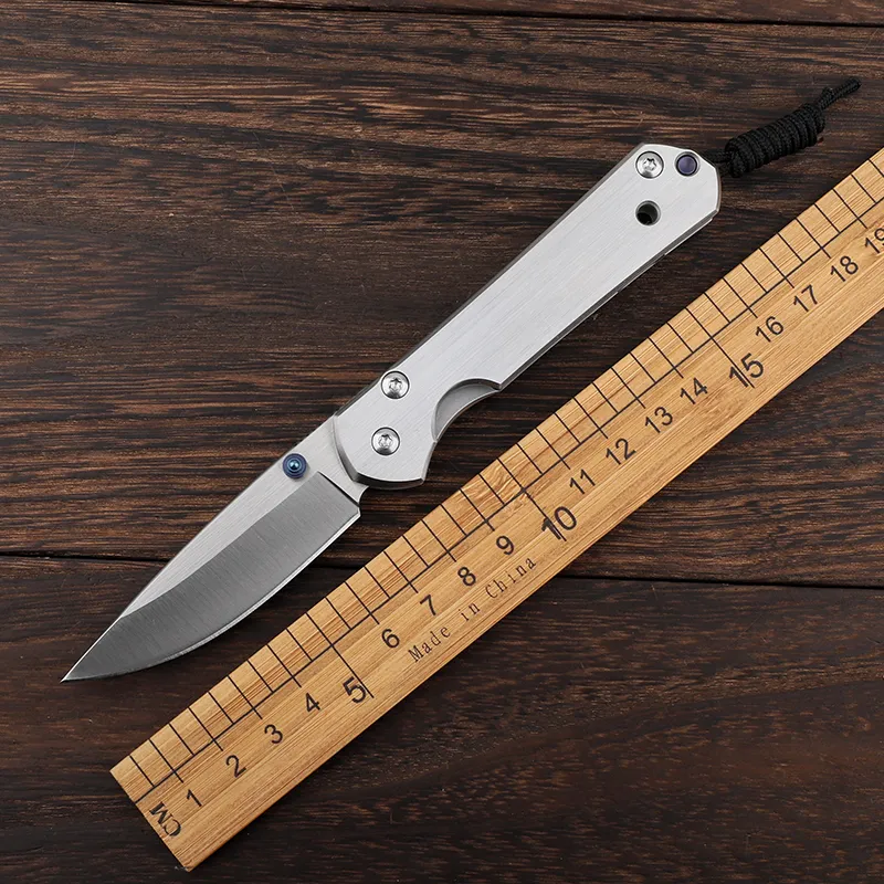 Chris Reeve Sebenza 21 Knife For Hunting - Efab Shop